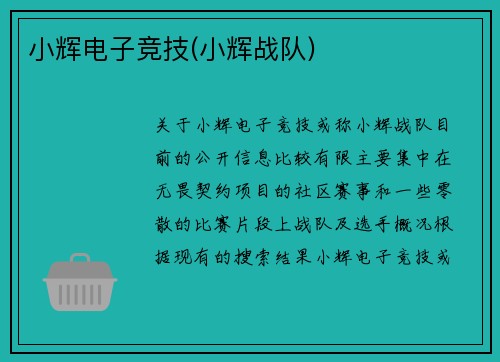 小辉电子竞技(小辉战队)